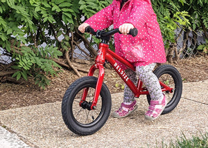 Highly recommended balance bike!